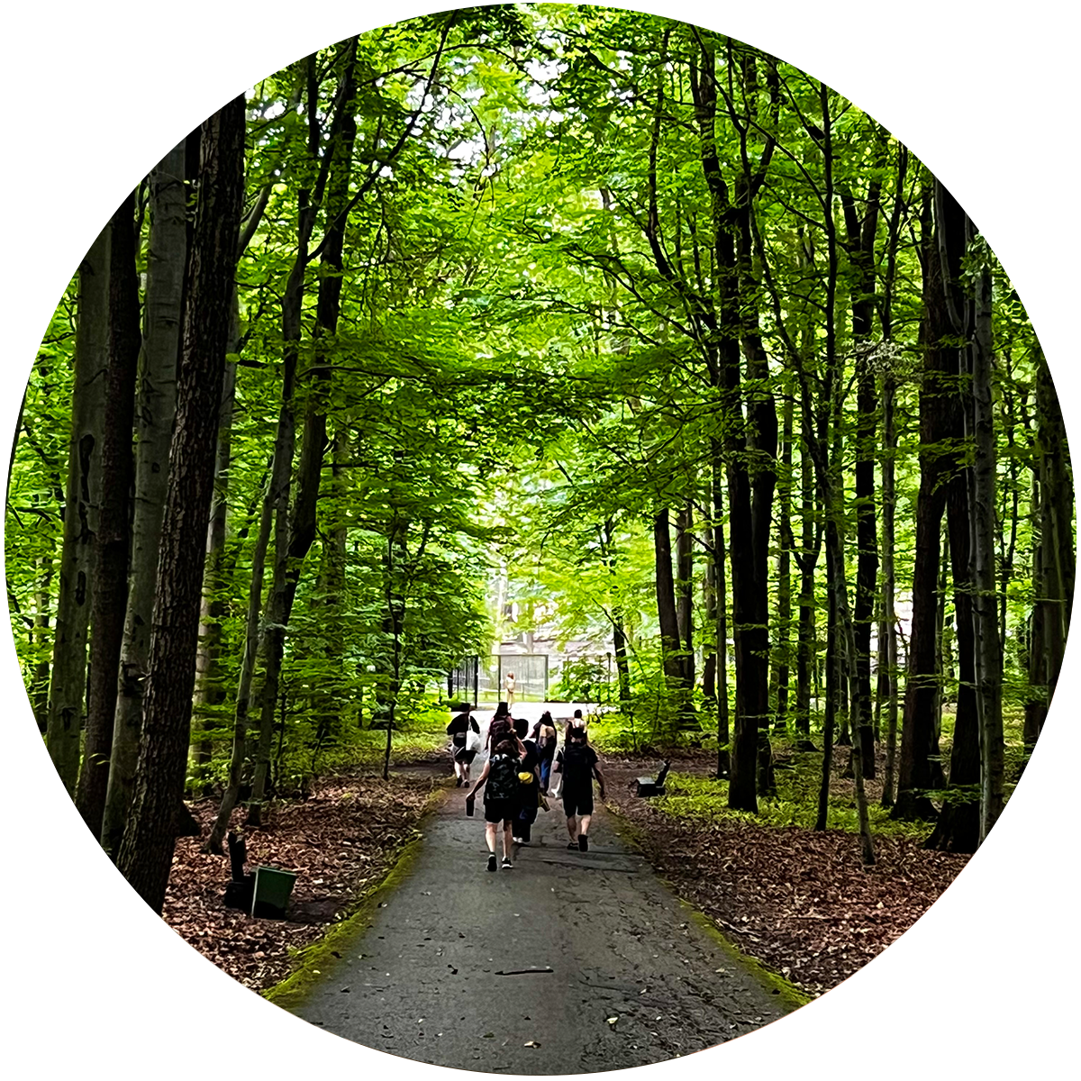 nature-walk_sing-dance-pray_cyrise